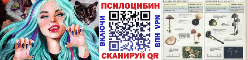 Псилоцибиновые грибы Psilocybe Жуков