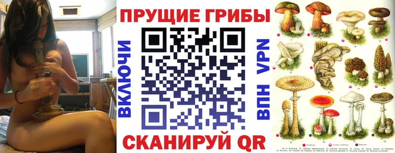 Купить  Жуков  Галлюциногенные грибы GOLDEN TEACHER 